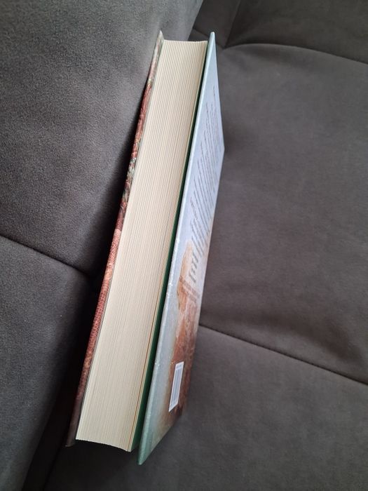 Книжка Викрадач поцілунку, Л.Дж. Шен