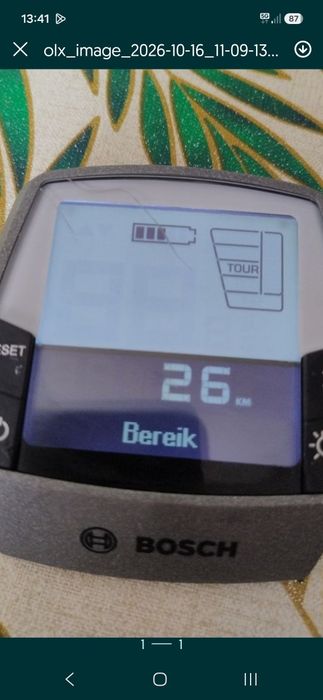 Display bosch intuvia