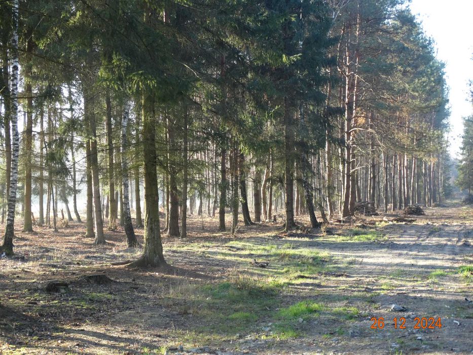 Działki budowlane, rekreacyjne Łukawska Wola - Widok 3