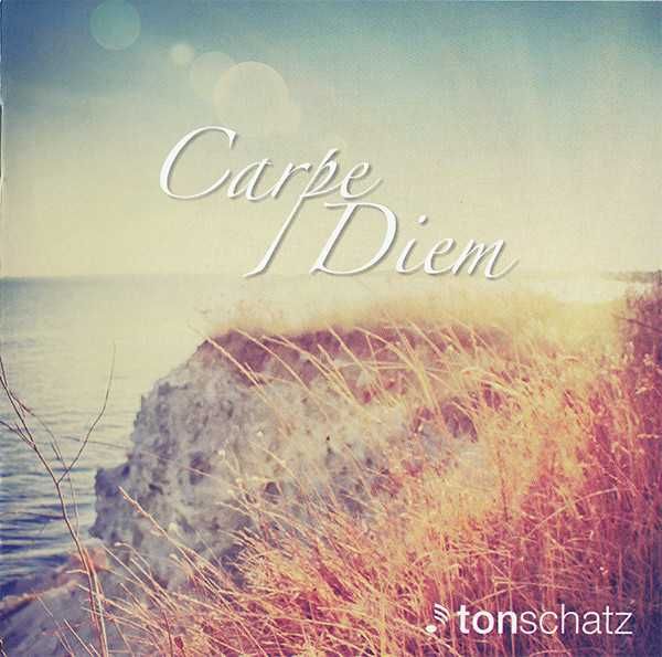 Tonschatz-3 single CD , styl SYSTEMS IN BLUE