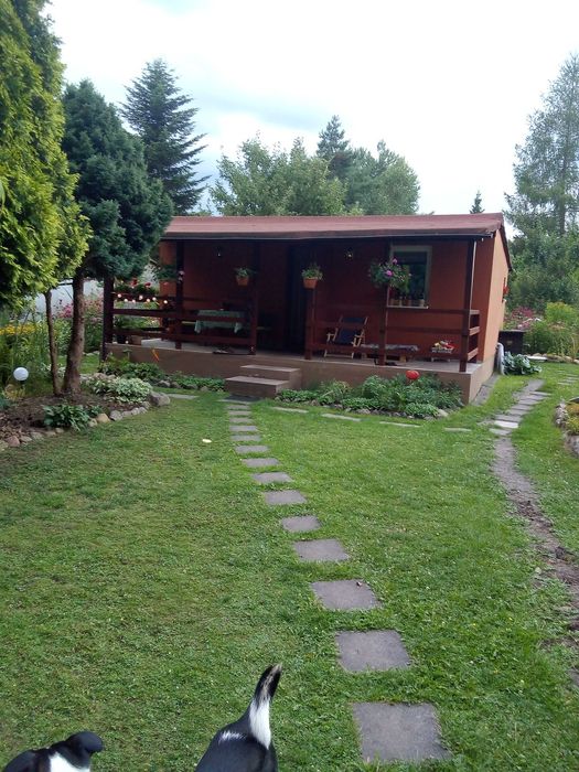 Działka ROD w Regnach