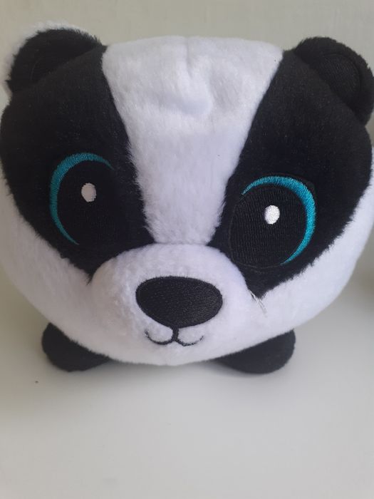 Borsuk Bartek słodziaki