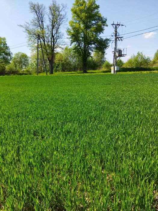Działka budowlana - Widok 2