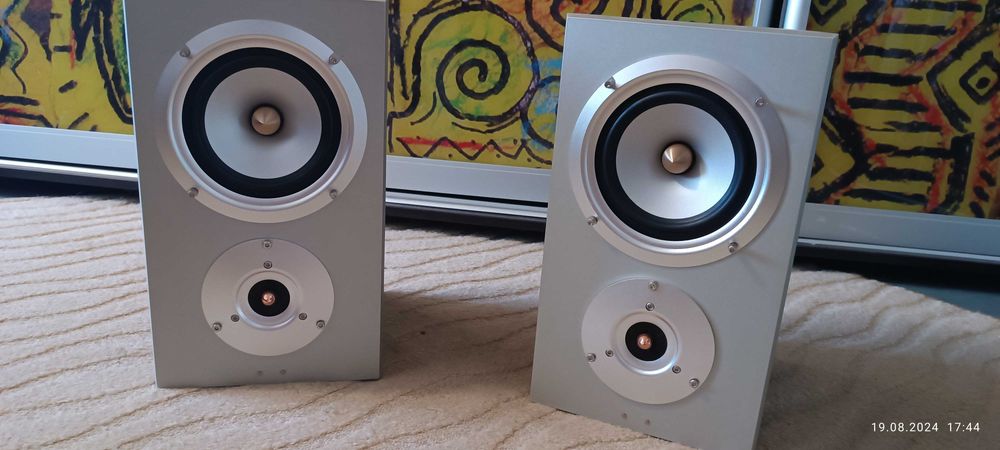 Акустика Swans D200R