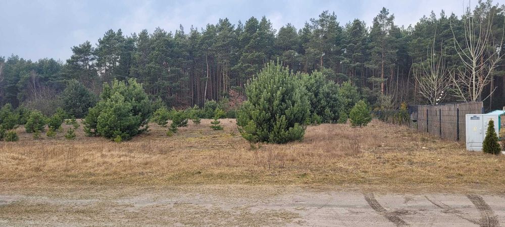 Działka z warunkami zabudowy, 1240 m2, Palaty k. Grabowa