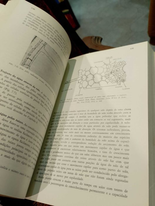 Introdução à Fisiologia Vegetal 1970 B. S. Mayer