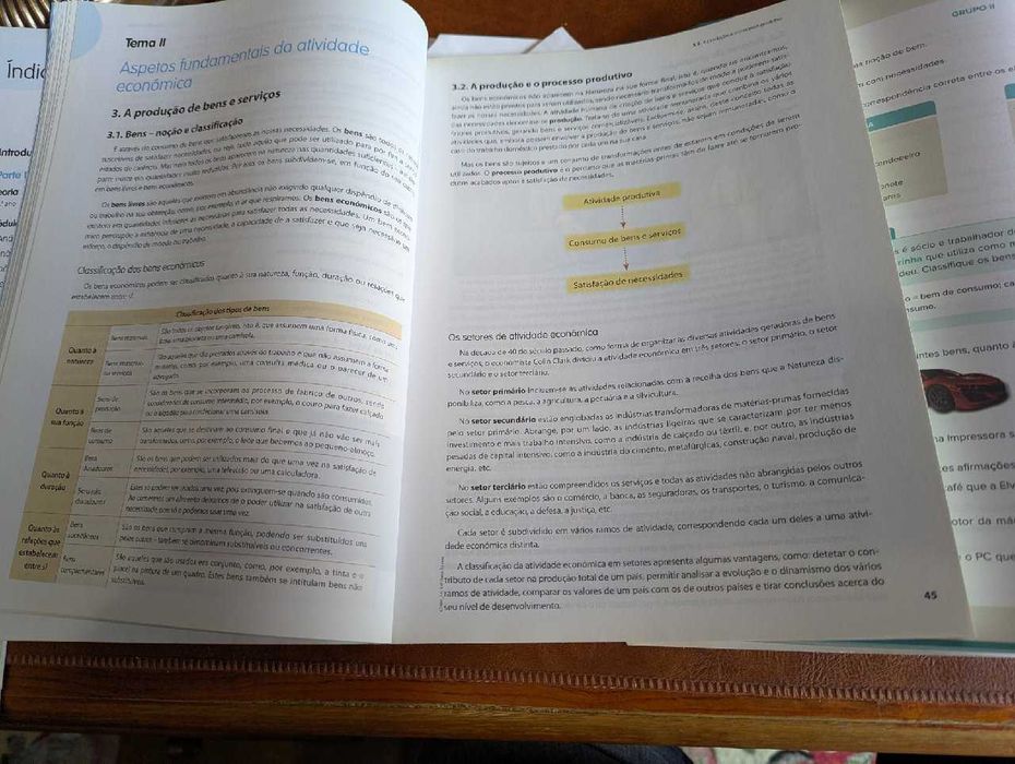 Livros prepração para exame nacional economia