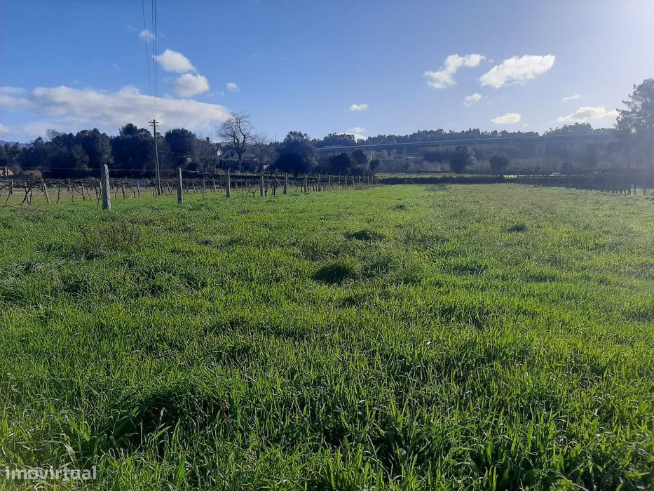 Terreno com 2.600m2 — Cornes, Viana do Castelo