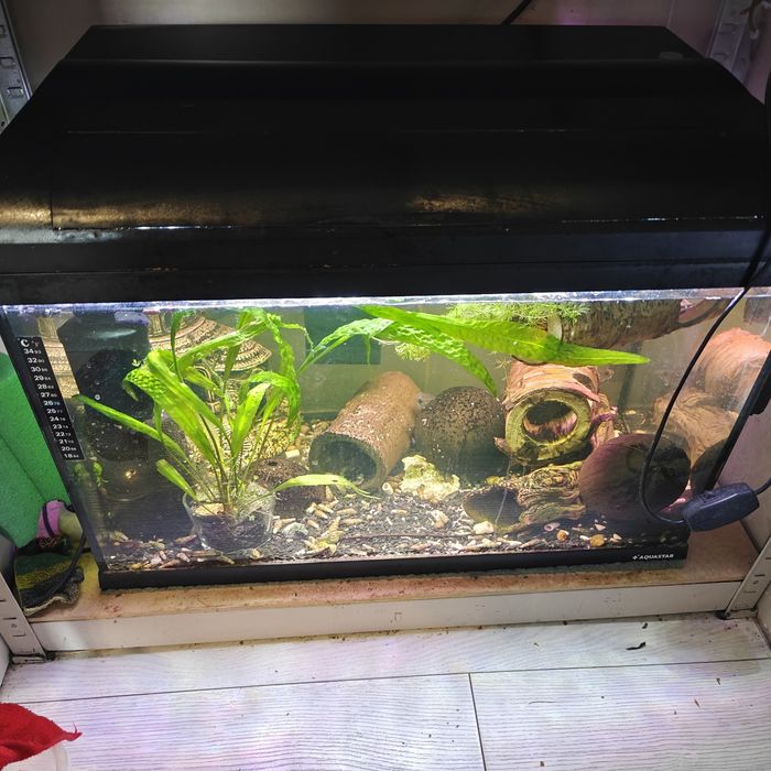 Akwarium Aquastar octopus 75i  + dwa filtry