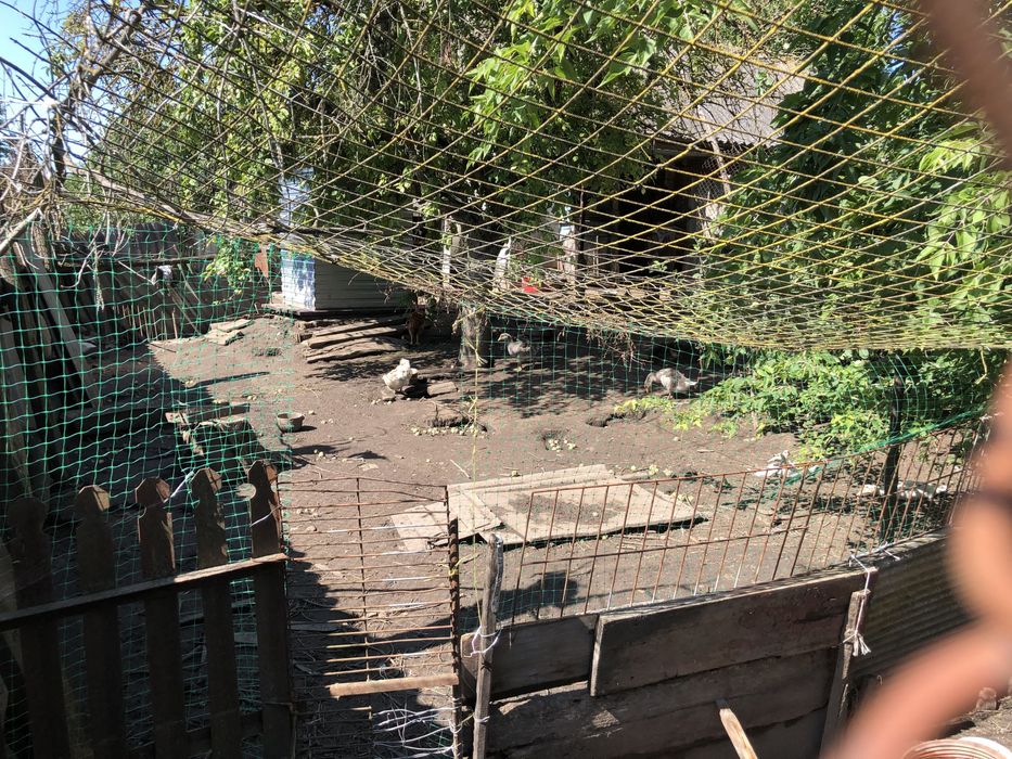 Будинок в с. Розкошівка