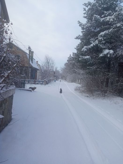 Продам Дом-дача возле Южного-Буга