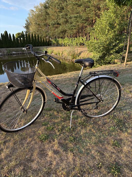 Rower miejski Esperia