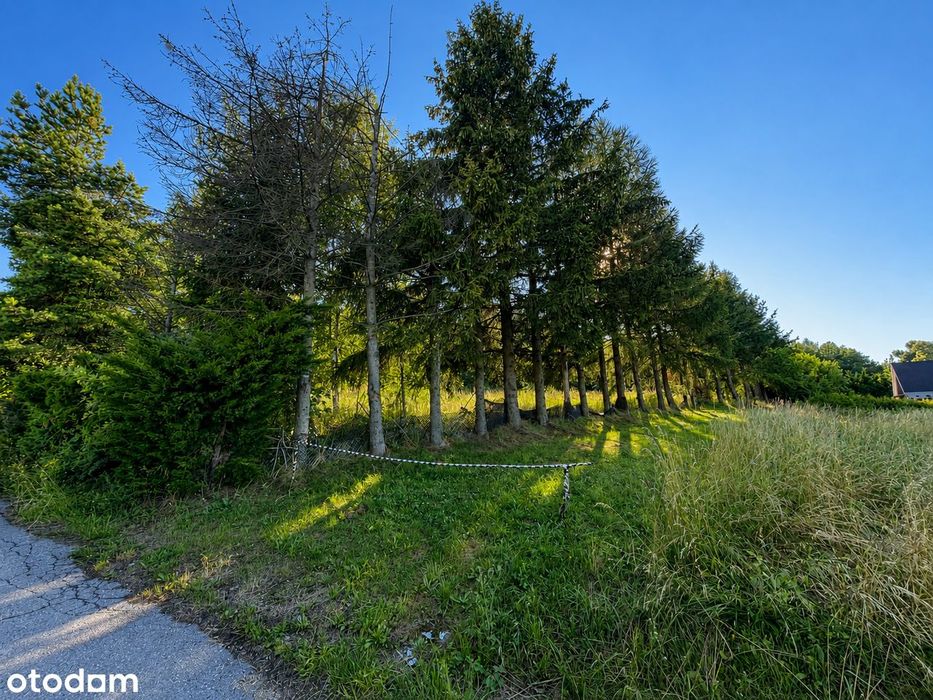 Widokowe 32 ar | MN-ML-U | Czchów | inwestycja + dom + rekreacja