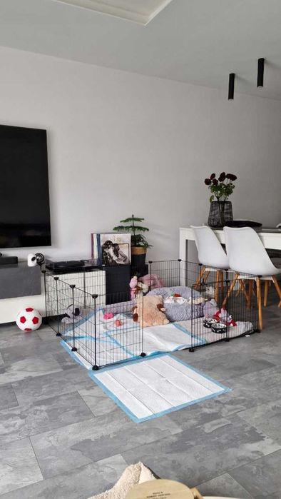 Wybieg Kojec Klatka dla Świnki Morskiej Królika Gryzoni Gryzonia NOWY