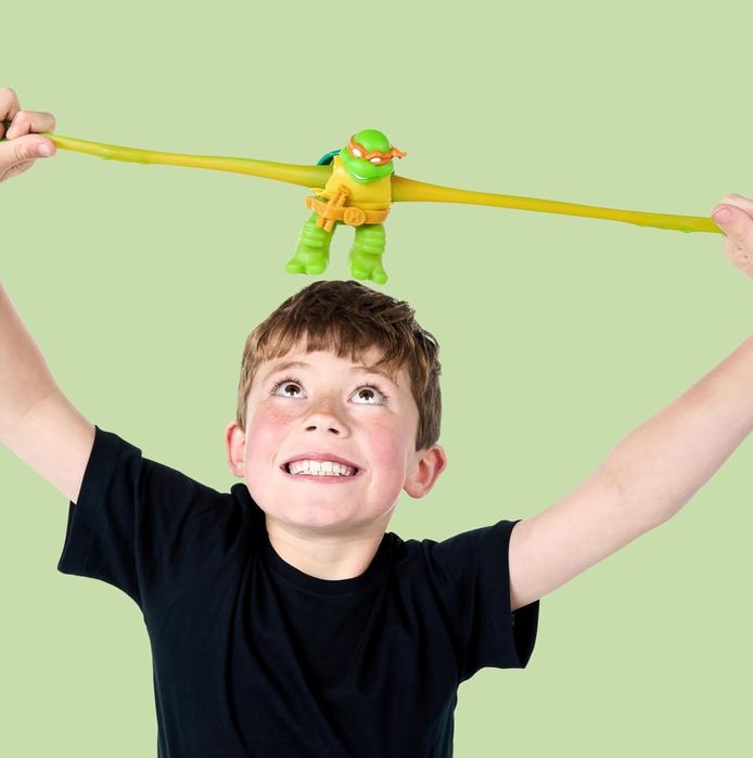 Герої Гуджитсу Черепашки-ніндзя, Heroes of GooJitZu,  Goo Jit Zu