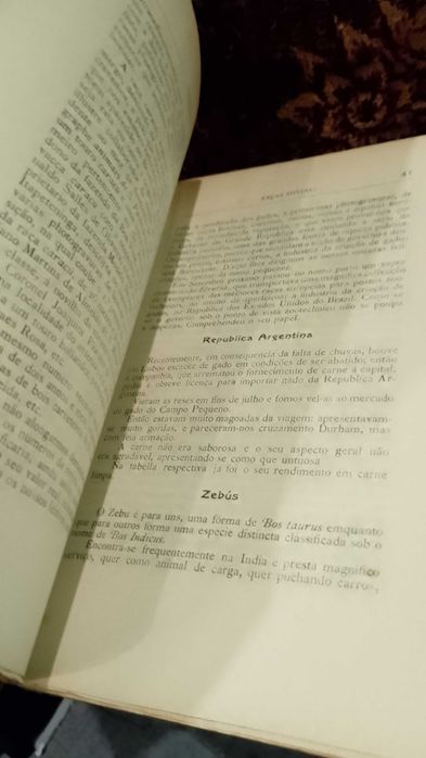 A Carne na Alimentação 1908 F. Motta D´Almeida