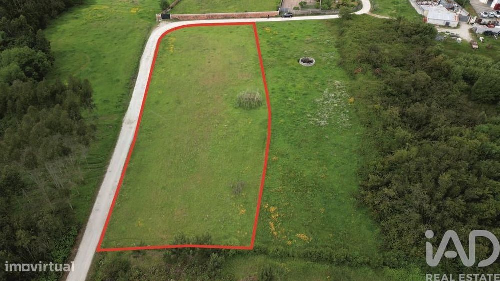 Terreno Agrícola em Vagos e Santo António