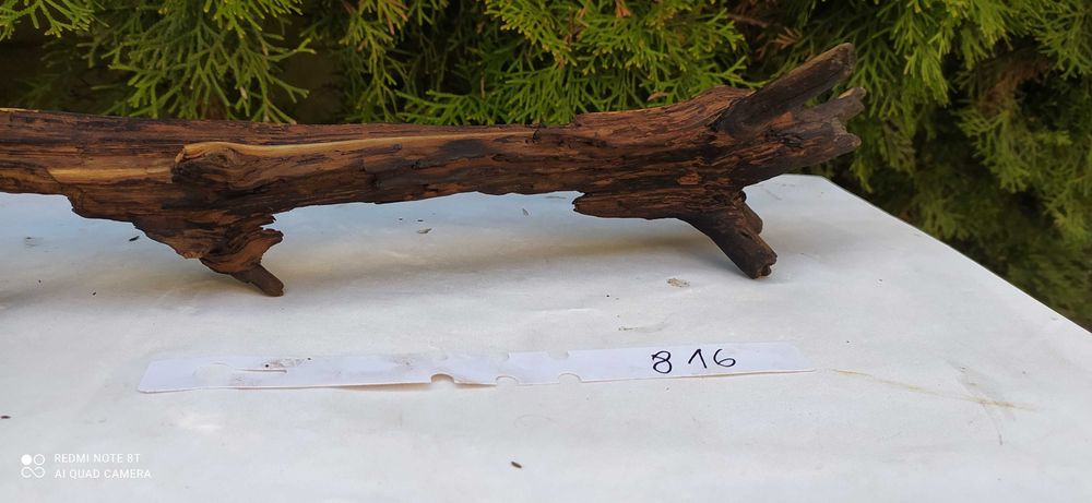 Korzeń do akwarium 38cm   816