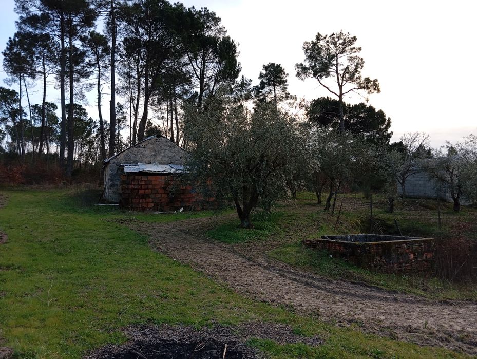 Terreno Agrícola - Vilar Seco