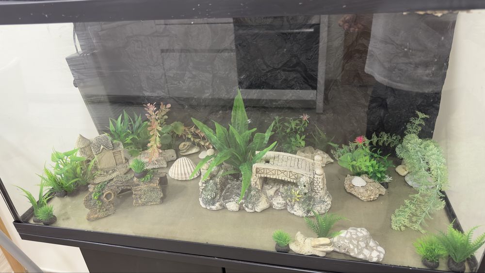 Aquario 100L com decoração e armario