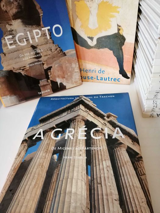 Colecção de 40  livros de Pintores do Sec. XX  da Globus