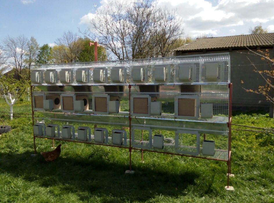 Клітки для кролів