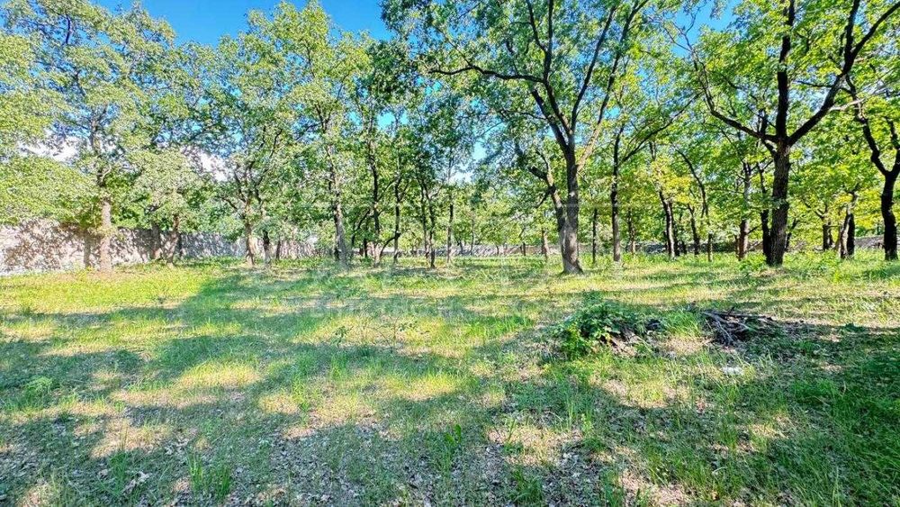 Продаж ділянки, 200 соток, с. Романків, Обухівський р-н