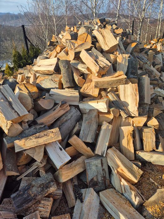 Uslugi leśne transport drewna