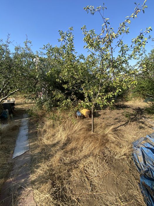 Продам дачу близко к городу