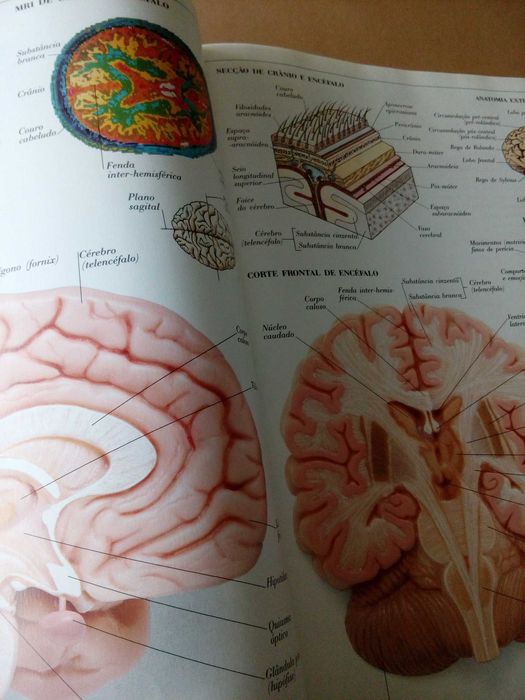 Público
Dicionário Visual