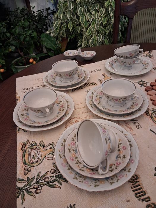 Porcelana  chodzież
