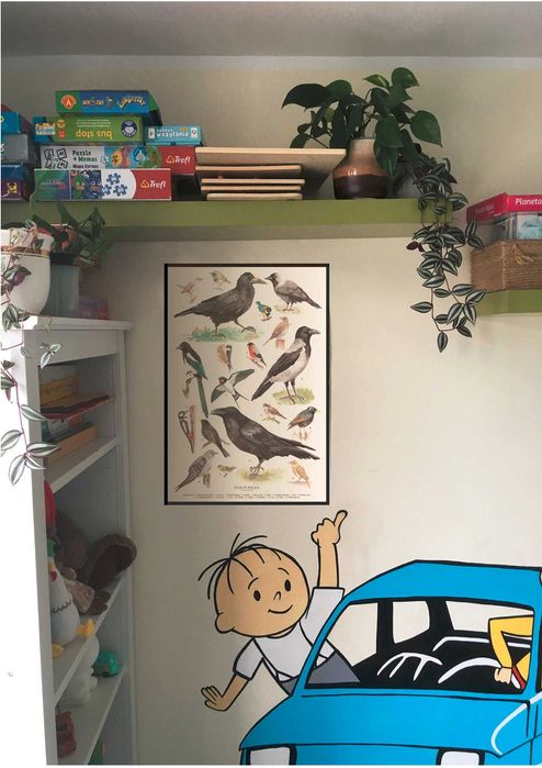 Plakat "Ptaki w Polsce" A2 autorski + gratis