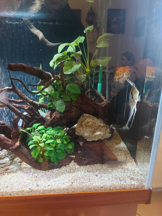 Akwarium 600 L wraz z wyposażeniem
