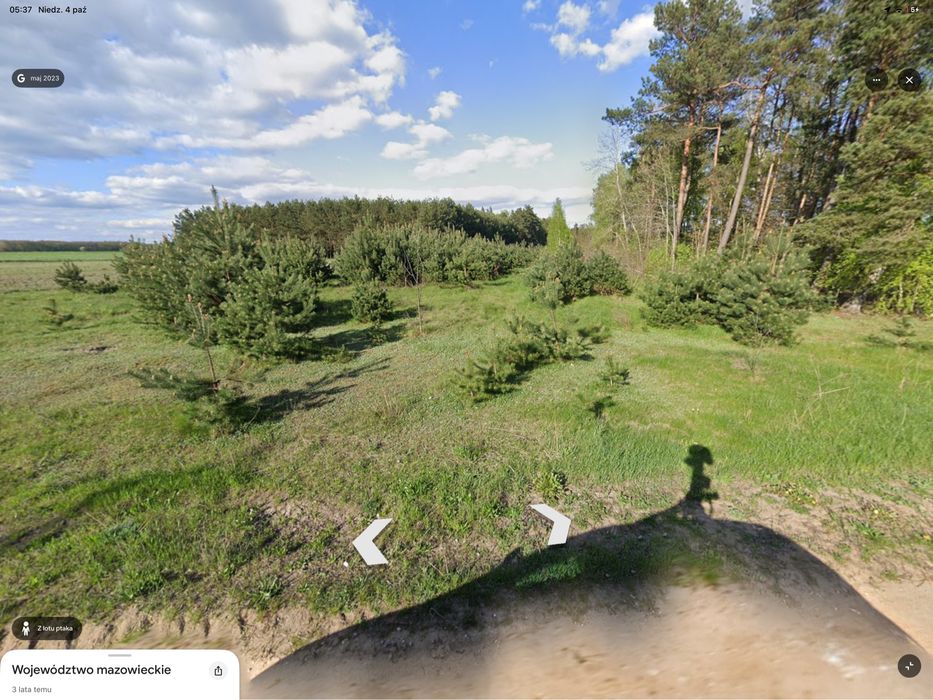Działka 3000 m² Natolin | WZ w toku | las 1334 m² | prąd 15 kW - Widok 3