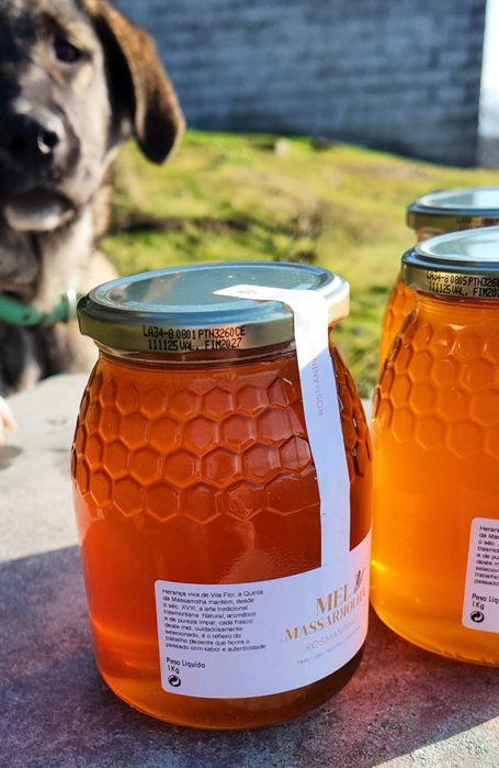 Mel de Rosmaninho 1Kg - Trás-os-Montes | Venda Só em Quantidade