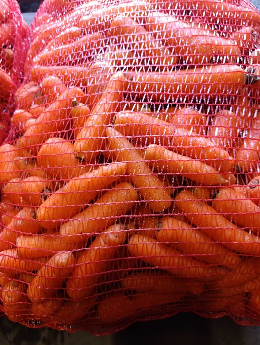 marchew odsort pakowana po 20 kg
