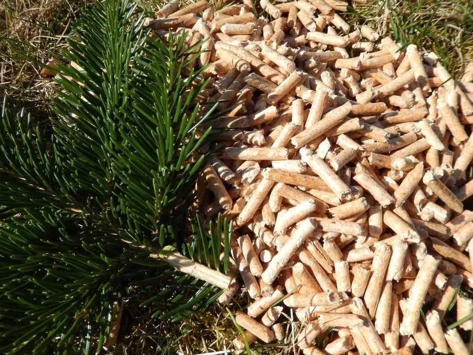 Pellet Transport GRATIS dostępny wydajny pelet