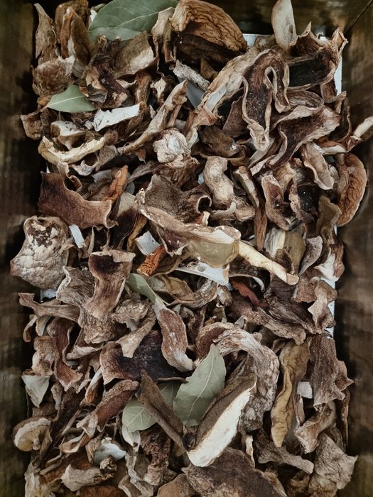 Suszone grzyby- Borowik szlachetny 100g