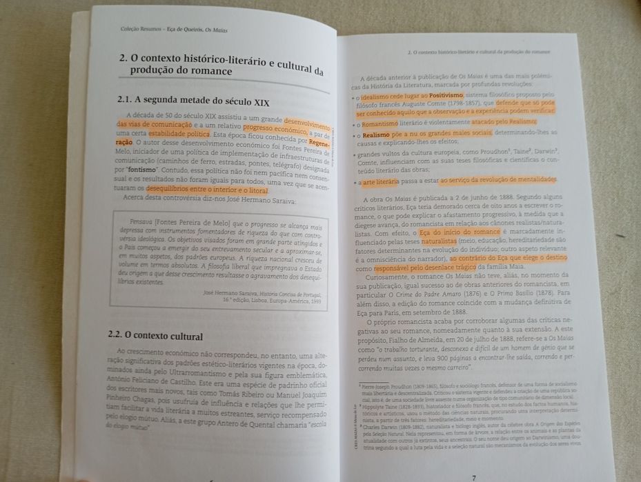 Livro de resumos - Os Maias