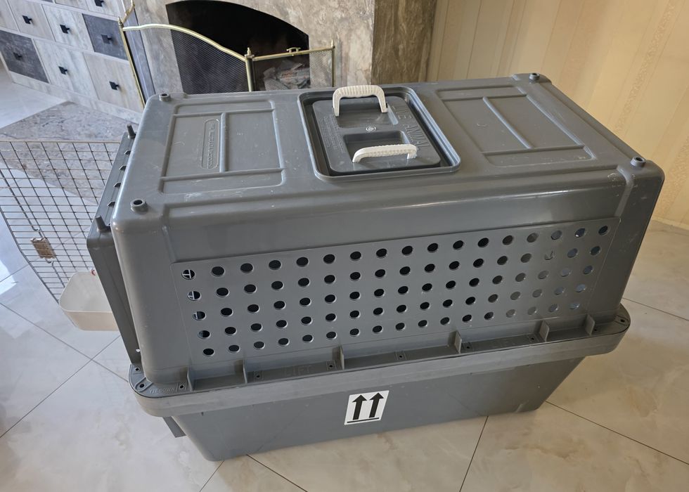 Авиабокс для крупной собаки