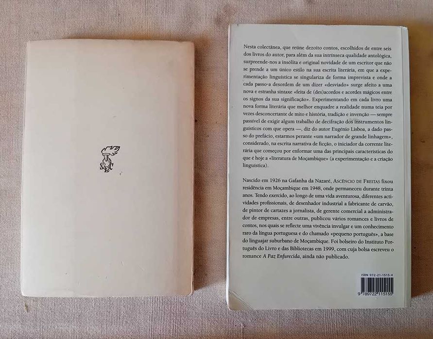 Livros  7€ | Abelaira, Mourão-Ferreira, Susana Tamaro, Inês Pedrosa