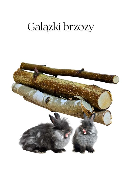 Gałązki brzozy 200g  grube 1,5-3,5 mm do ścierania zębów dla  królików