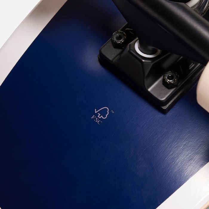 CRUISER YAMBA 500 FLOOD