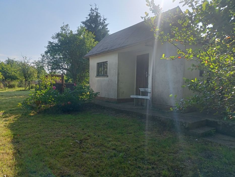 Odstąpię działkę ROD Wojnów Ubocze - 350 m² - Widok 6