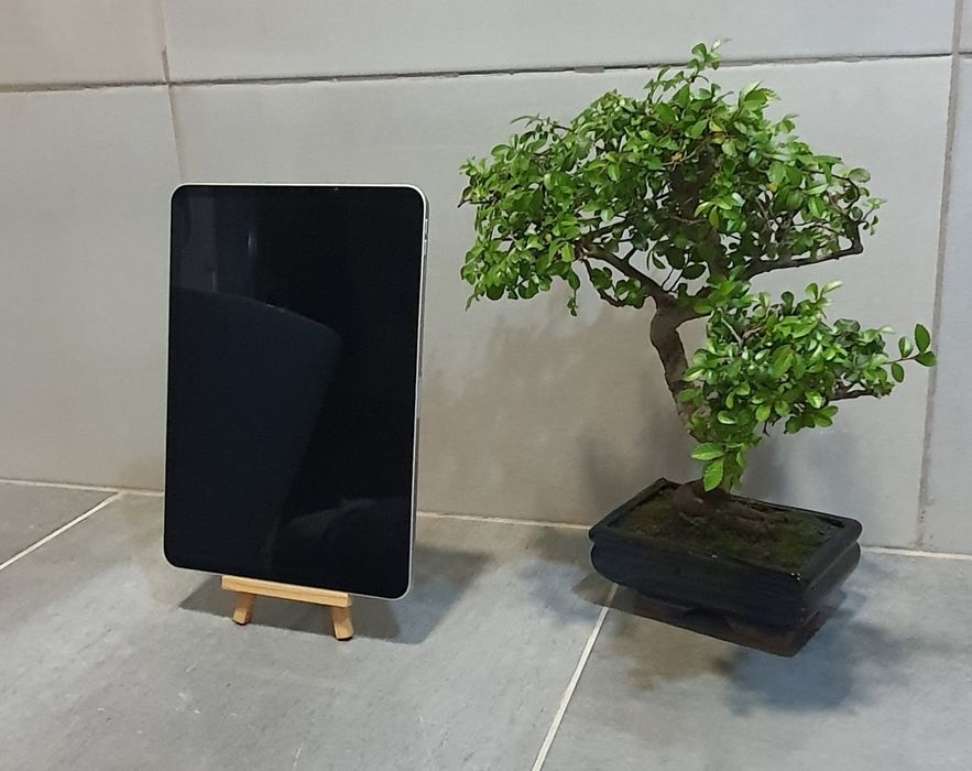 Ipad Pro 11 2° geração 256gb