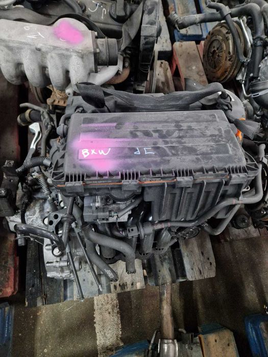 Motor VW/Audi/Seat/Skoda 1.4i Ref: BXW