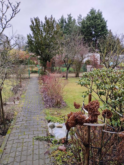 Sprzedam działkę ROD