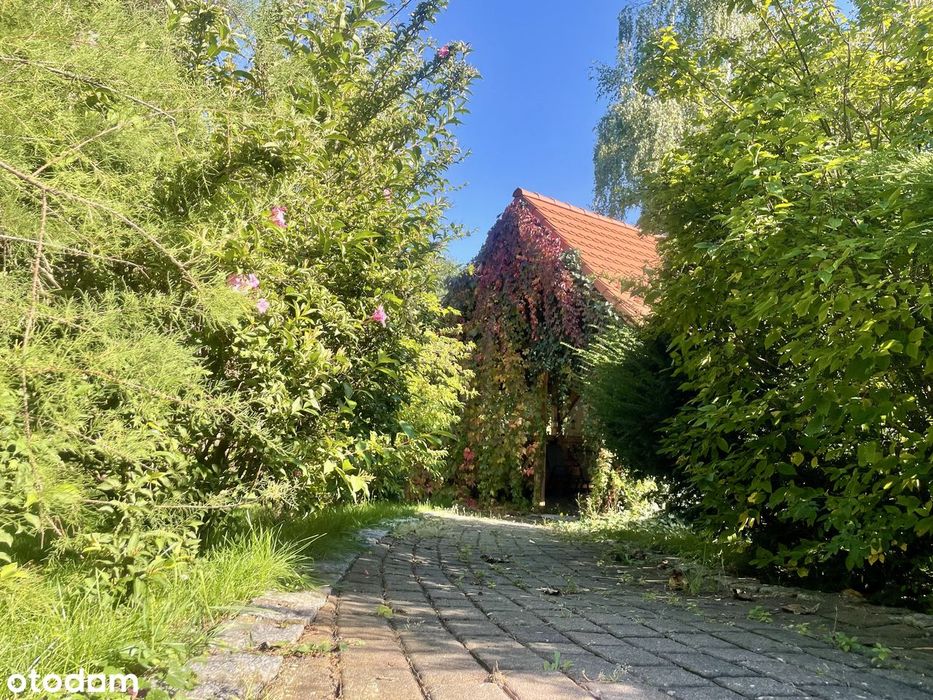Dom – Głuchołazy, Osiedle Koszyka, powiat nyski - Widok 5