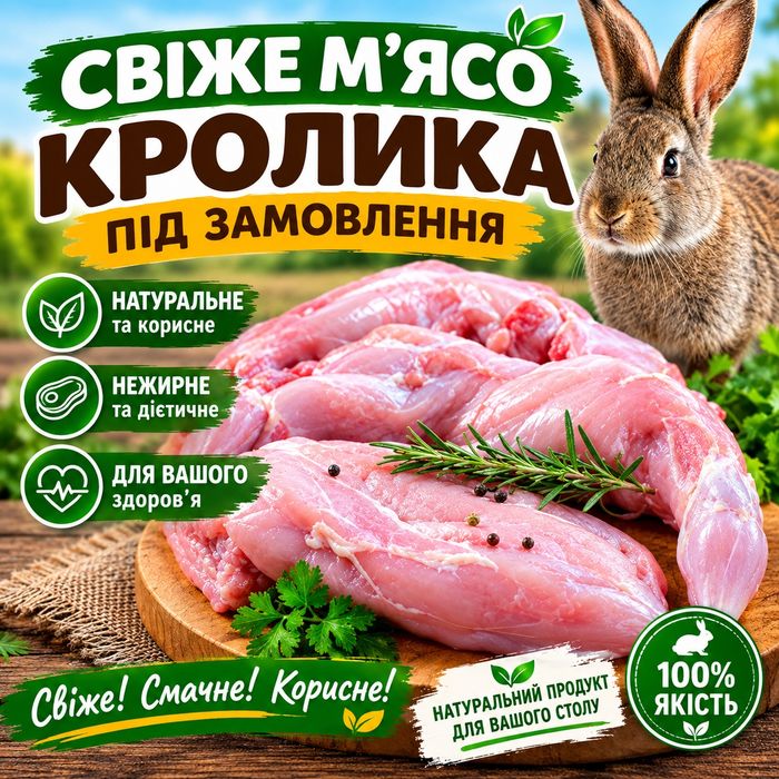 Свіже мясо кролика