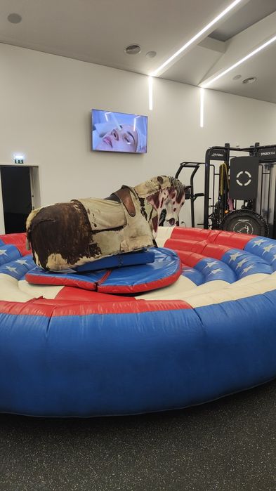 Cavalo Mecânico (único em Portugal)